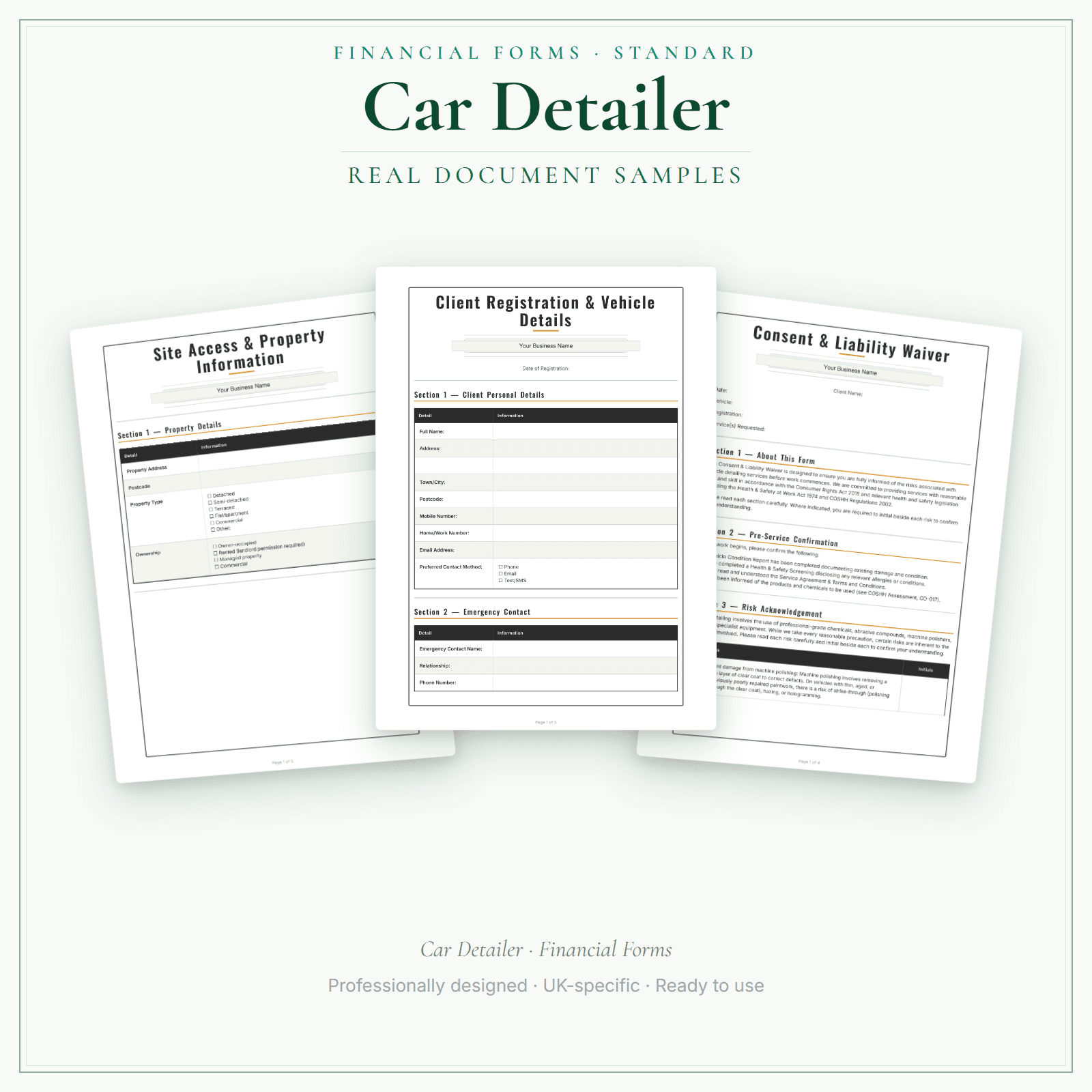 Financial Forms Bundle — Standard — sample document pages