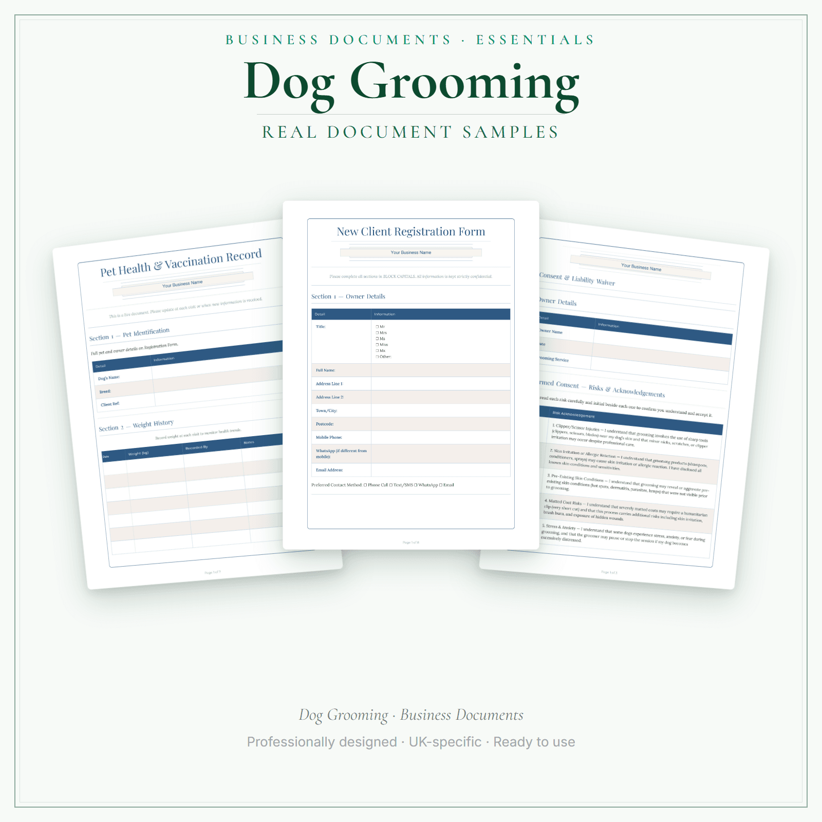 Business Documents — Essential — sample document pages