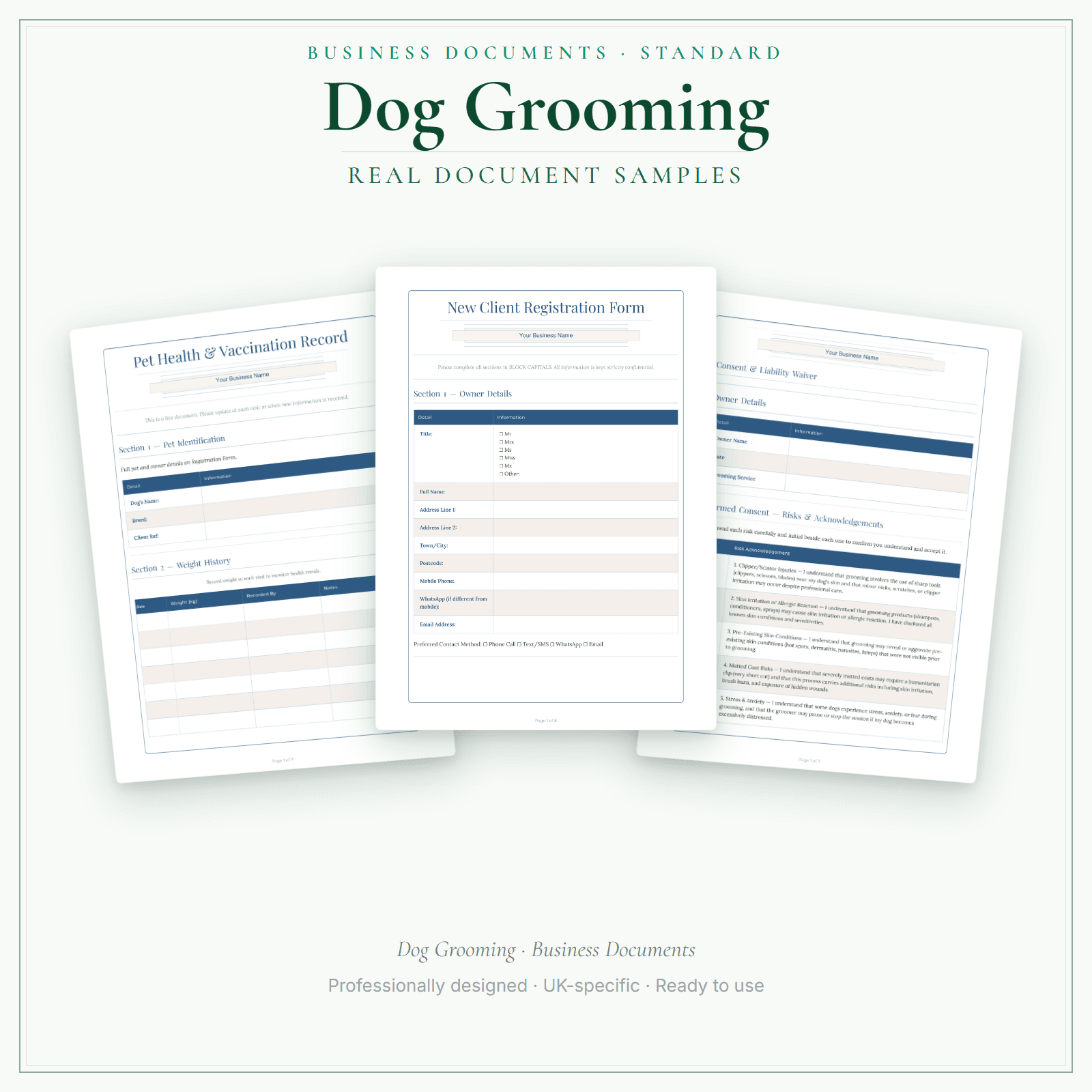 Business Documents — Standard — sample document pages