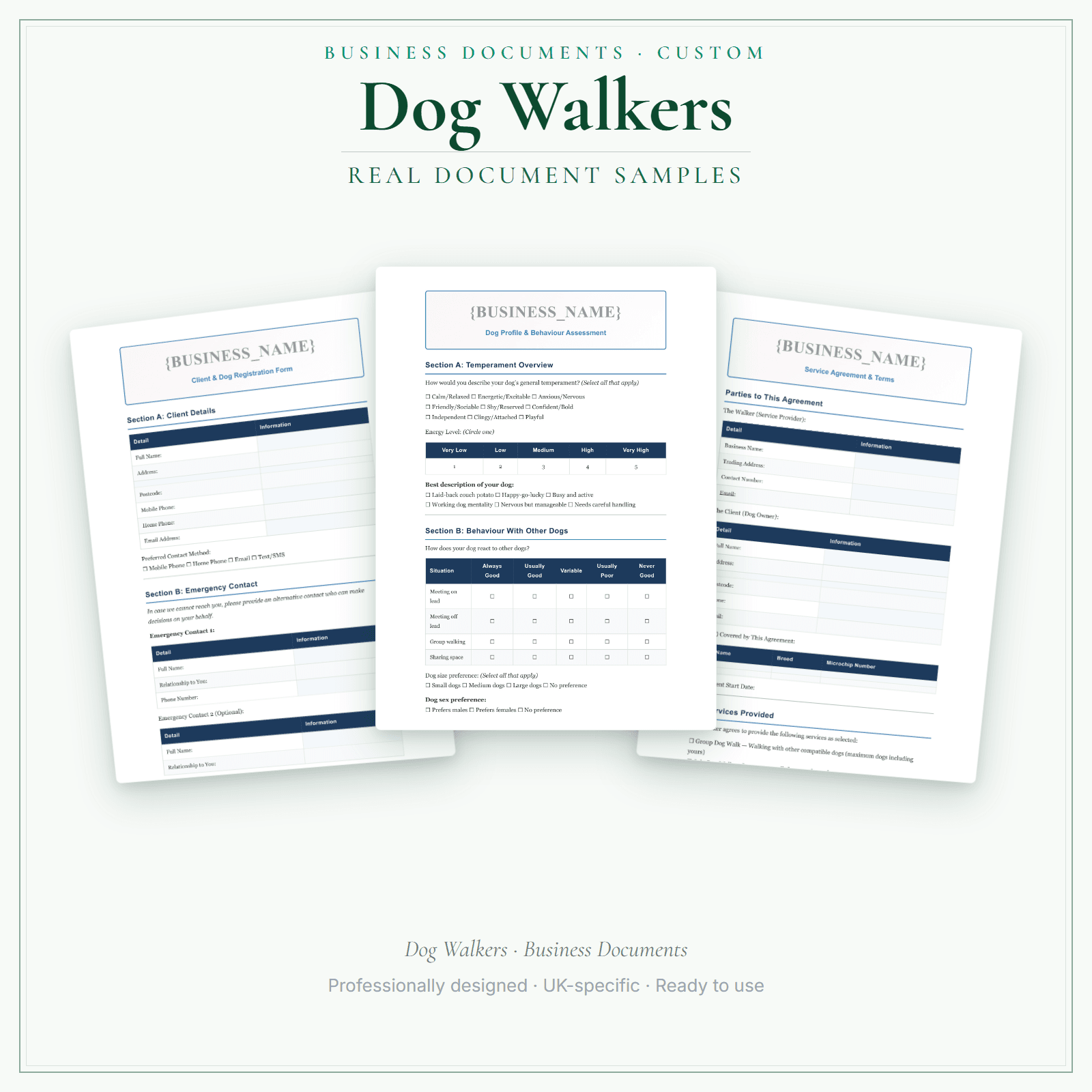 Business Documents — Custom — sample document pages