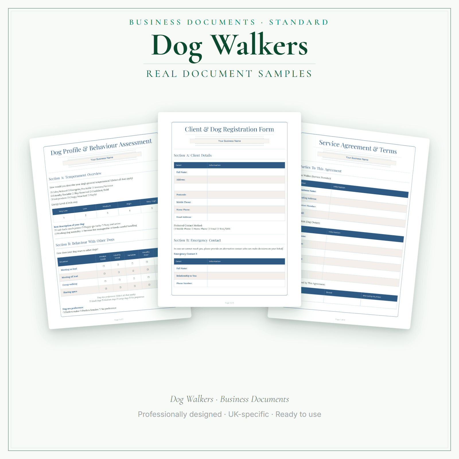 Business Documents — Standard — sample document pages