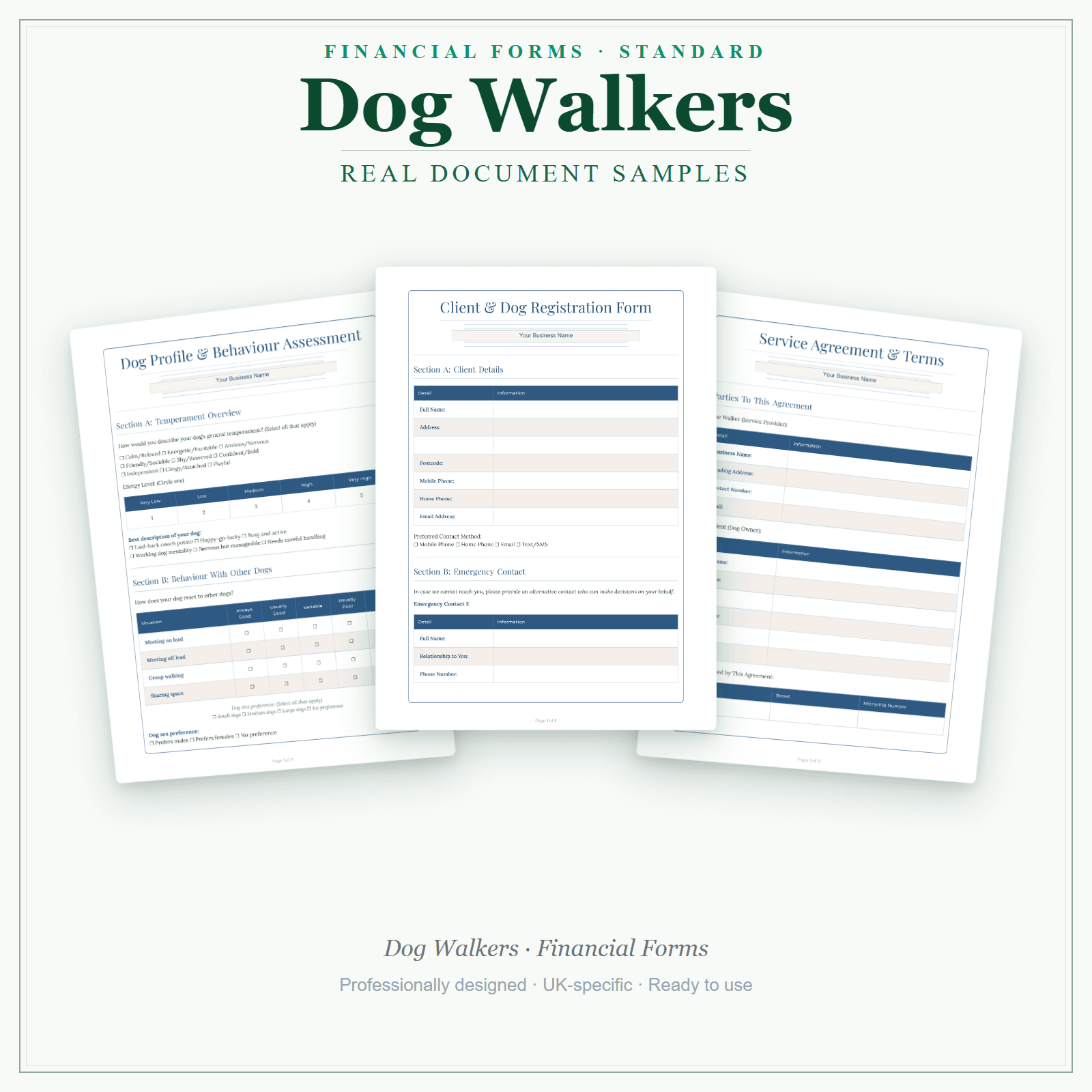 Financial Forms Bundle — Standard — sample document pages