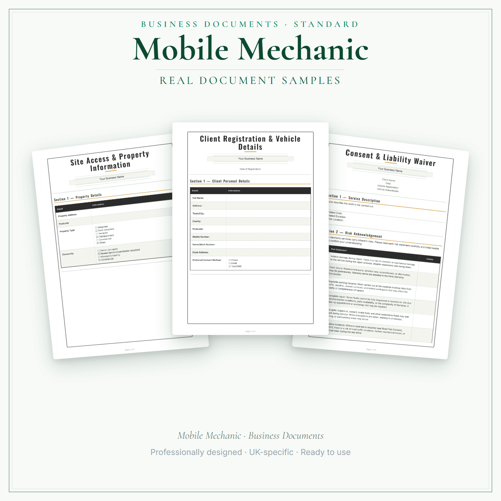 Business Documents — Standard — sample document pages