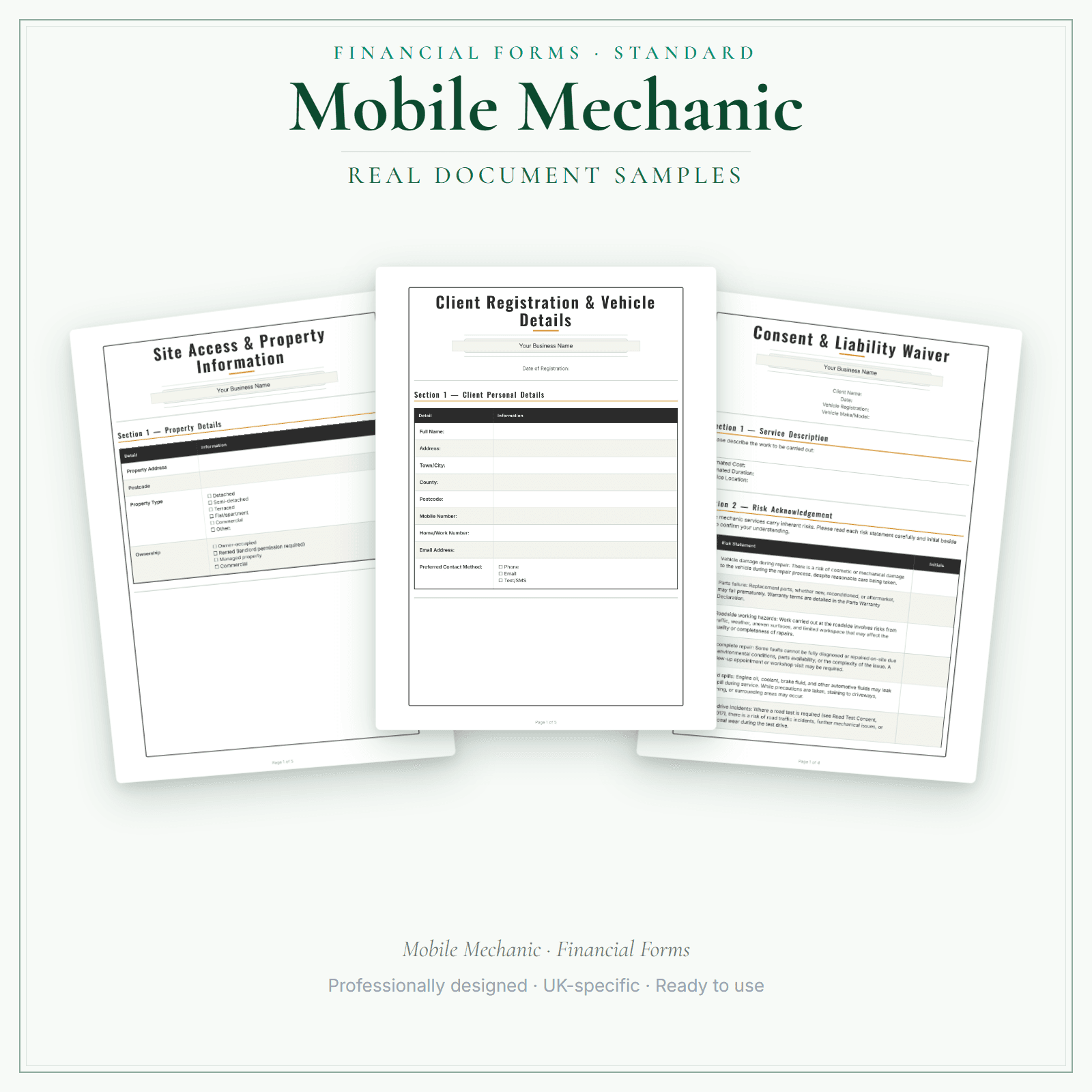 Financial Forms Bundle — Standard — sample document pages