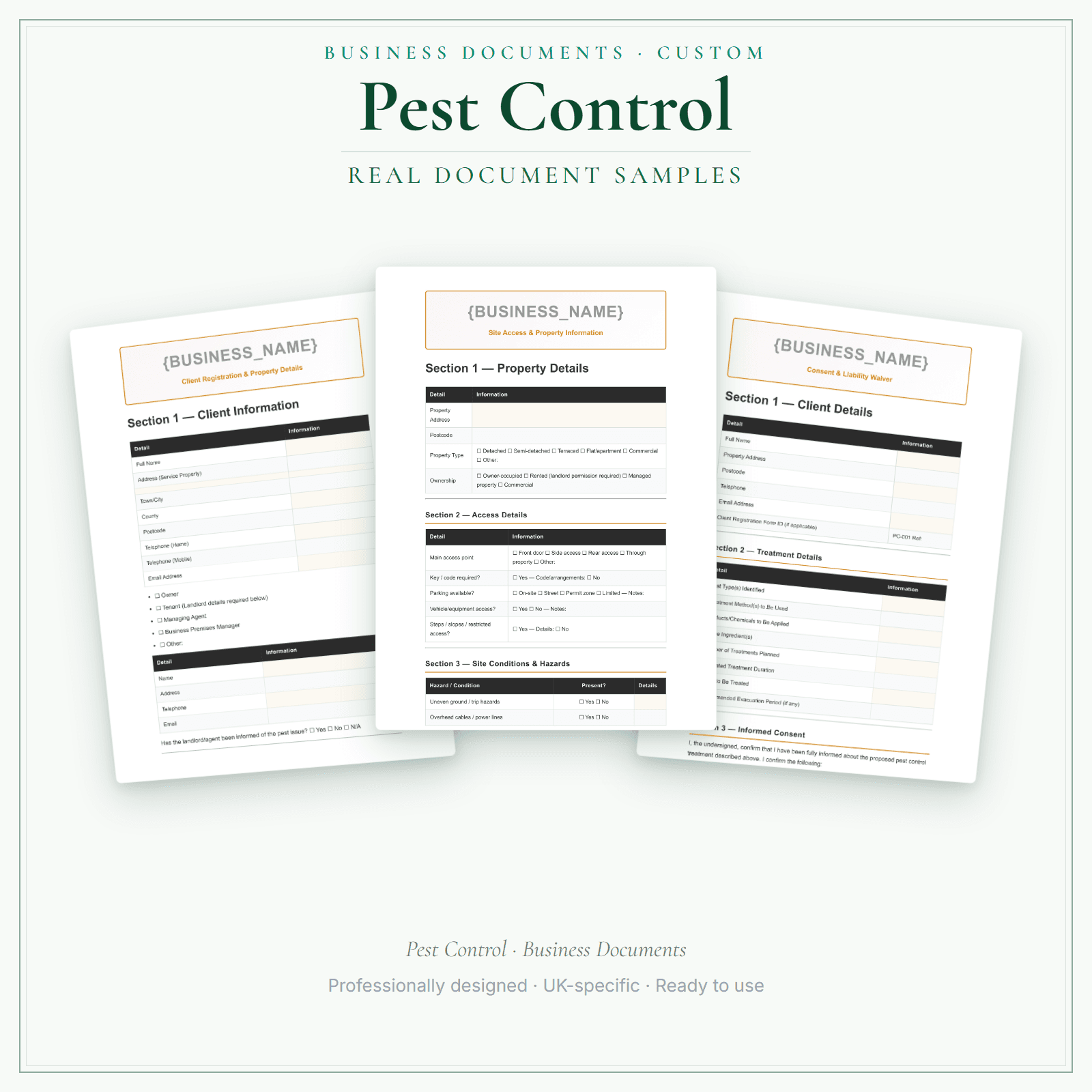 Business Documents — Custom — sample document pages