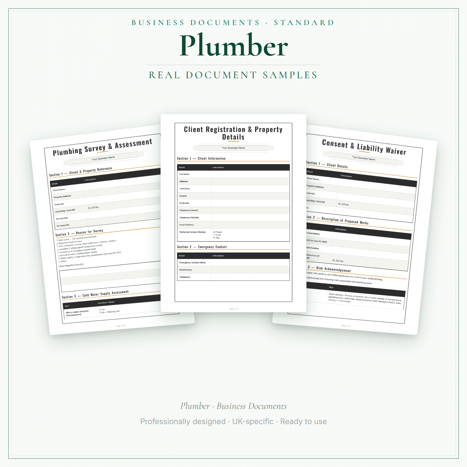 Business Documents — Standard — sample document pages