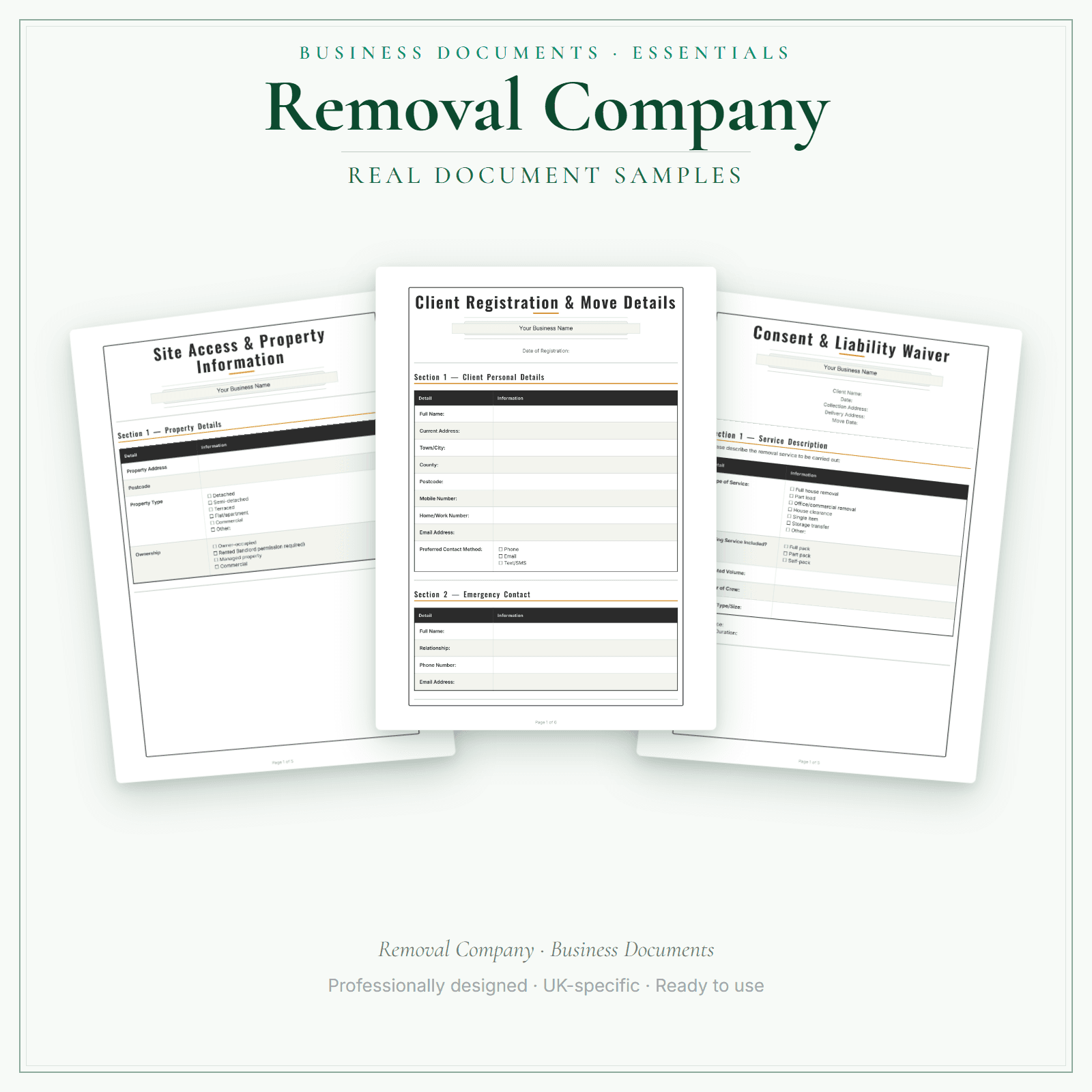 Business Documents — Essential — sample document pages