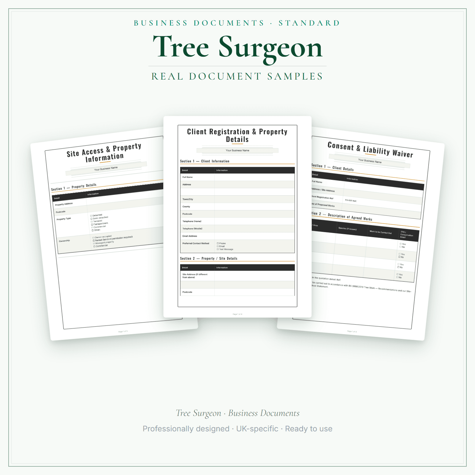 Business Documents — Standard — sample document pages